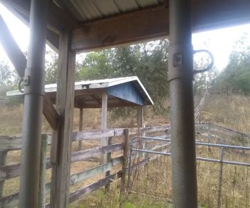 Florida Equine Veterinary Services
