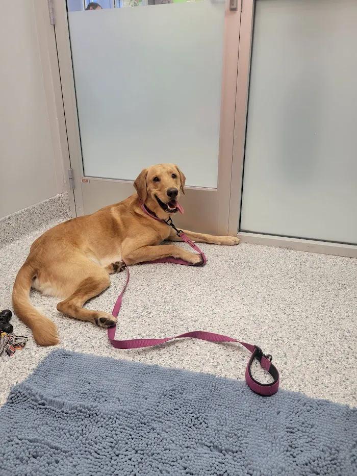PetVet365 Pet Hospital Clermont/Winter Garden 12