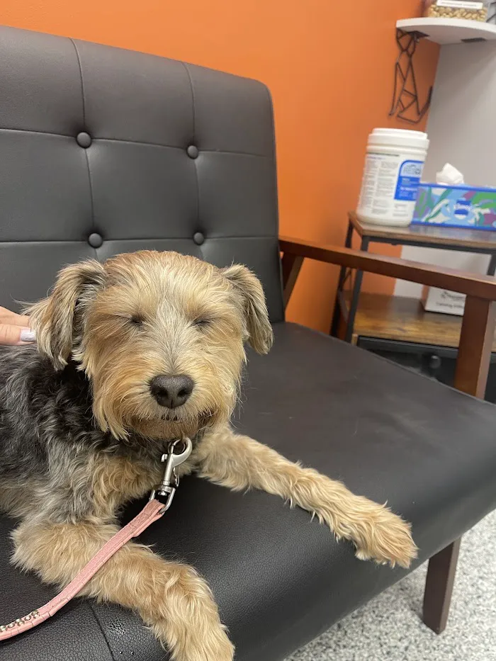 PetVet365 Pet Hospital Clermont/Winter Garden 12