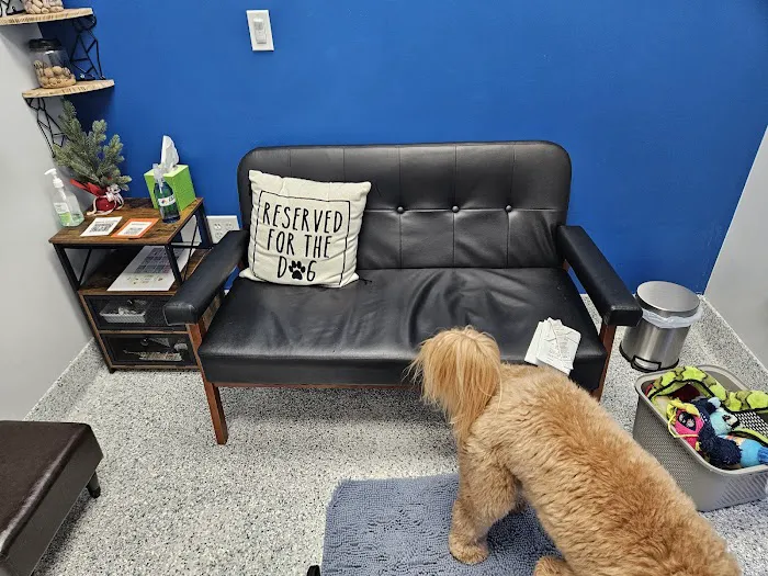 PetVet365 Pet Hospital Clermont/Winter Garden 12