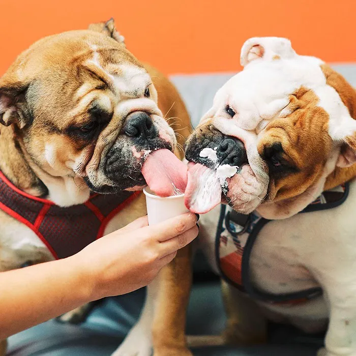 PetVet365 Pet Hospital Clermont/Winter Garden 12