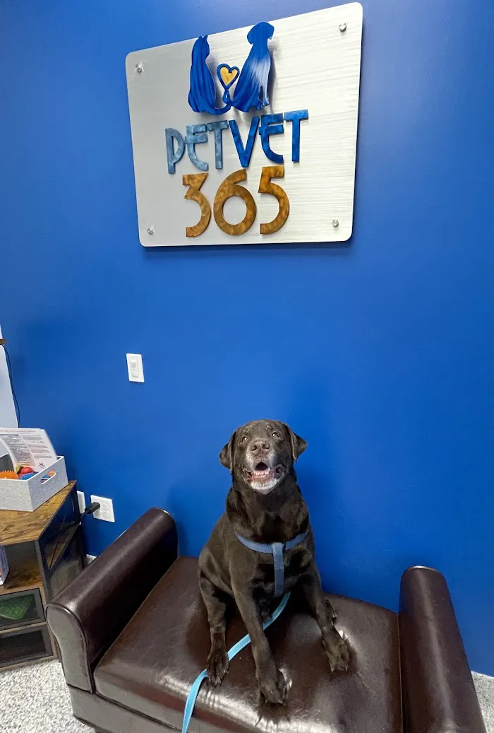 PetVet365 Pet Hospital Clermont/Winter Garden 12