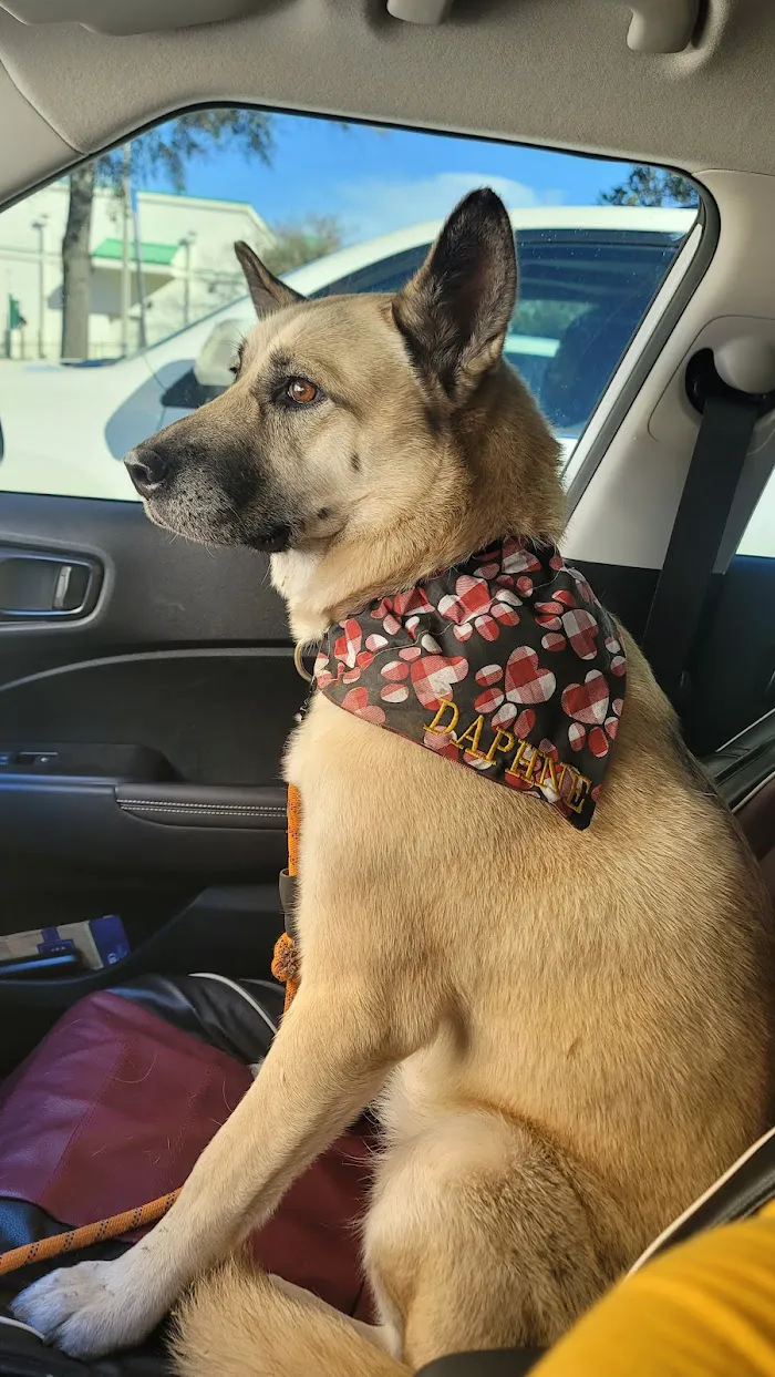 Hiawassee & Clarcona-Ocoee Pet Hospital 12