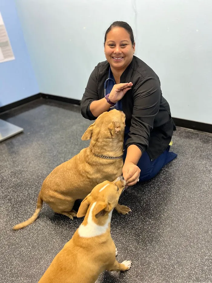 Hiawassee & Clarcona-Ocoee Pet Hospital 12