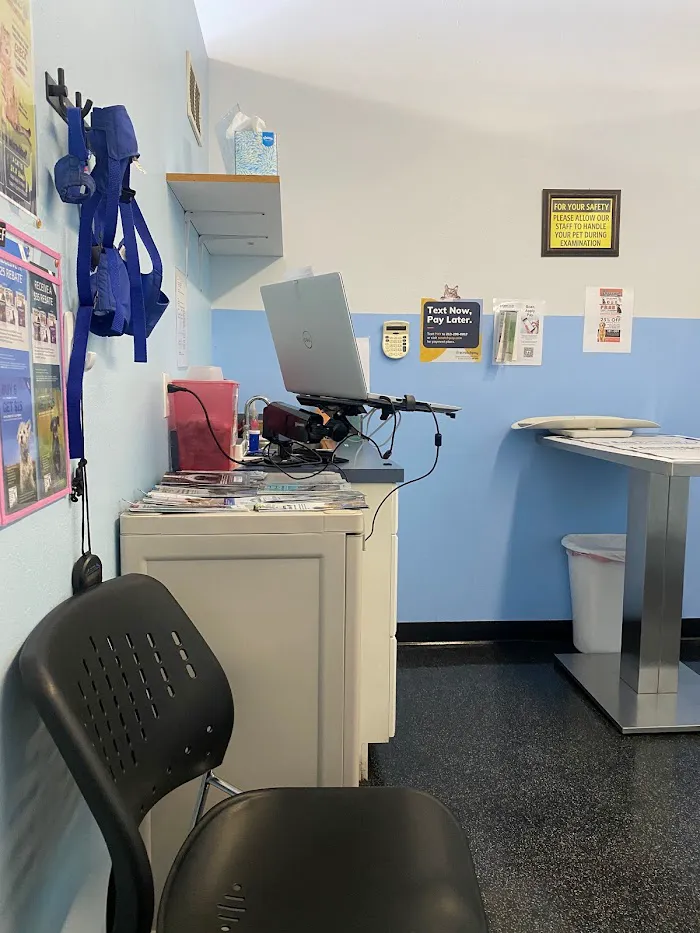 Hiawassee & Clarcona-Ocoee Pet Hospital 12