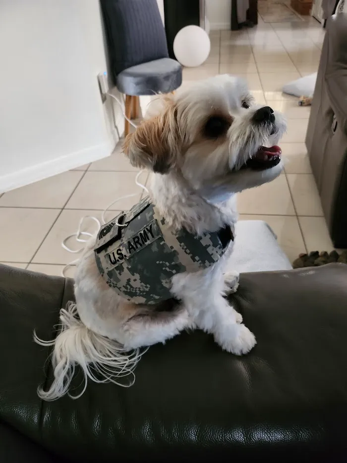 Park Avenue Animal Hospital 10