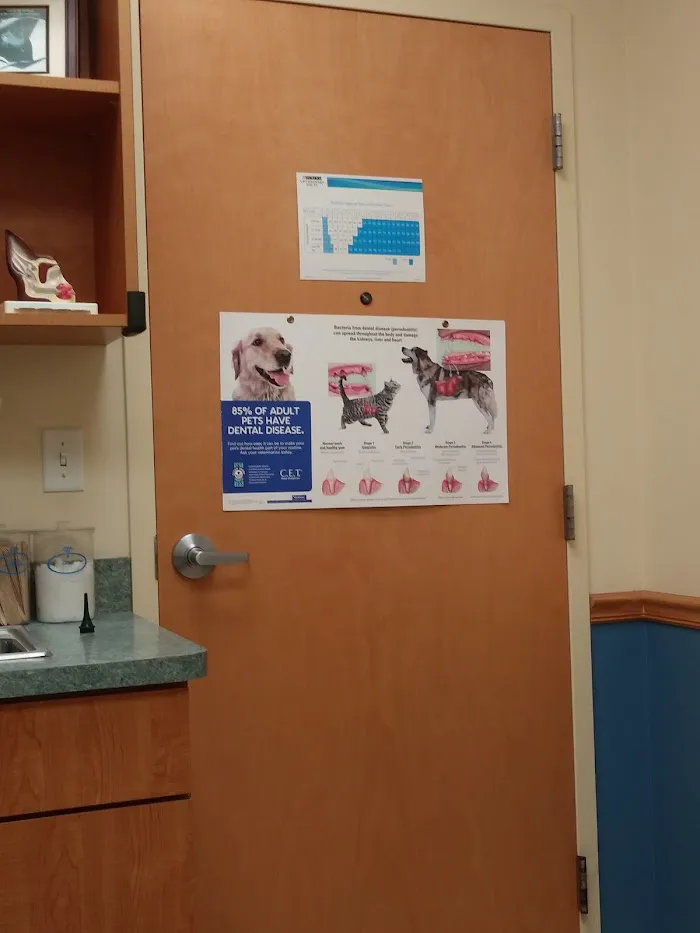 Park Avenue Animal Hospital 2