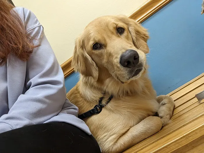 Park Avenue Animal Hospital 1