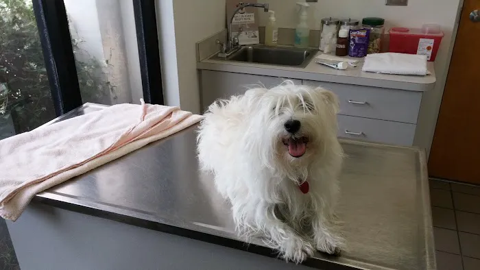 Animal Health Center 12