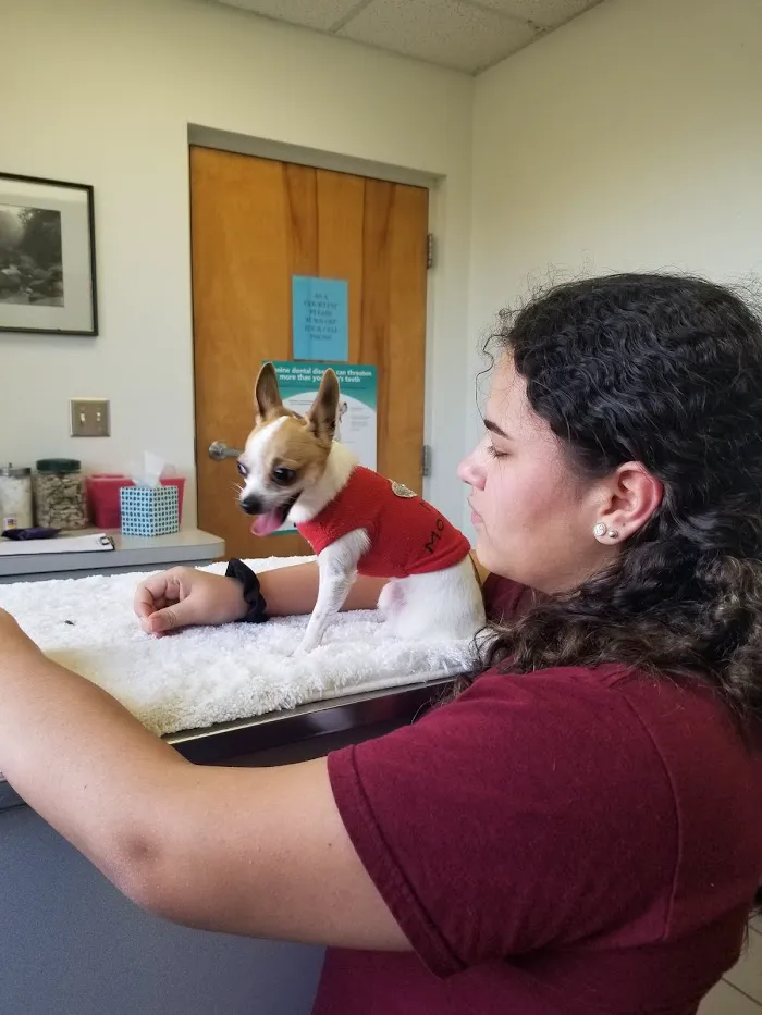 Animal Health Center 12