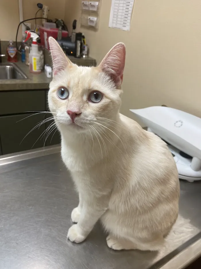 Kirkman Road Veterinary Clinic 12