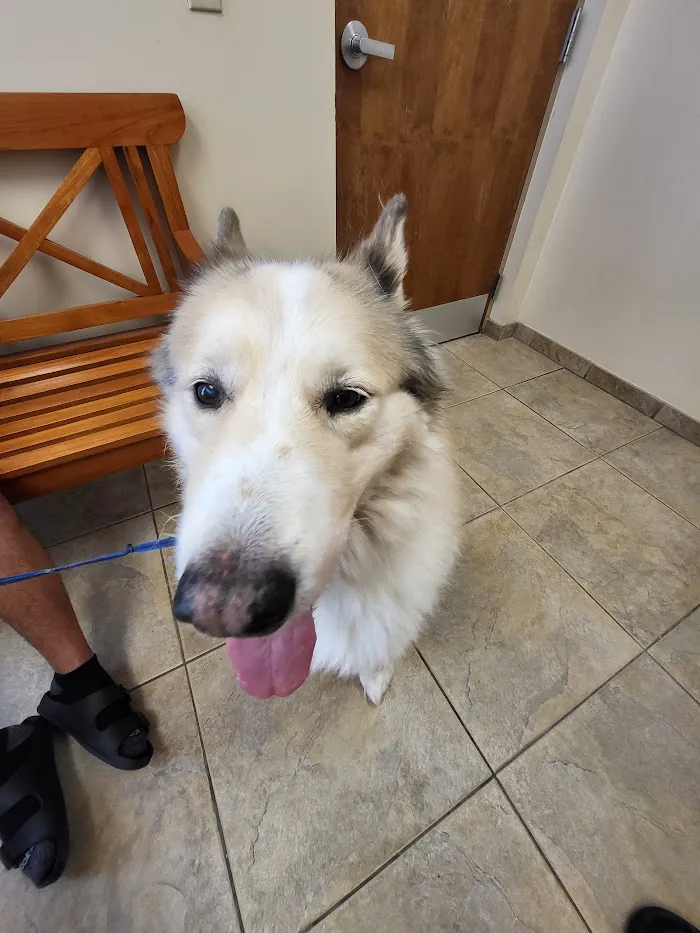 Kirkman Road Veterinary Clinic 12