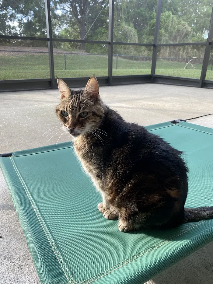 Grand Oaks Pet Hospital 12