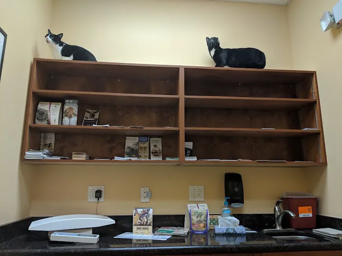 Grand Oaks Pet Hospital 12