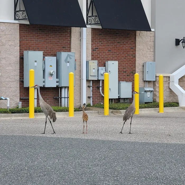 Banfield Pet Hospital 12