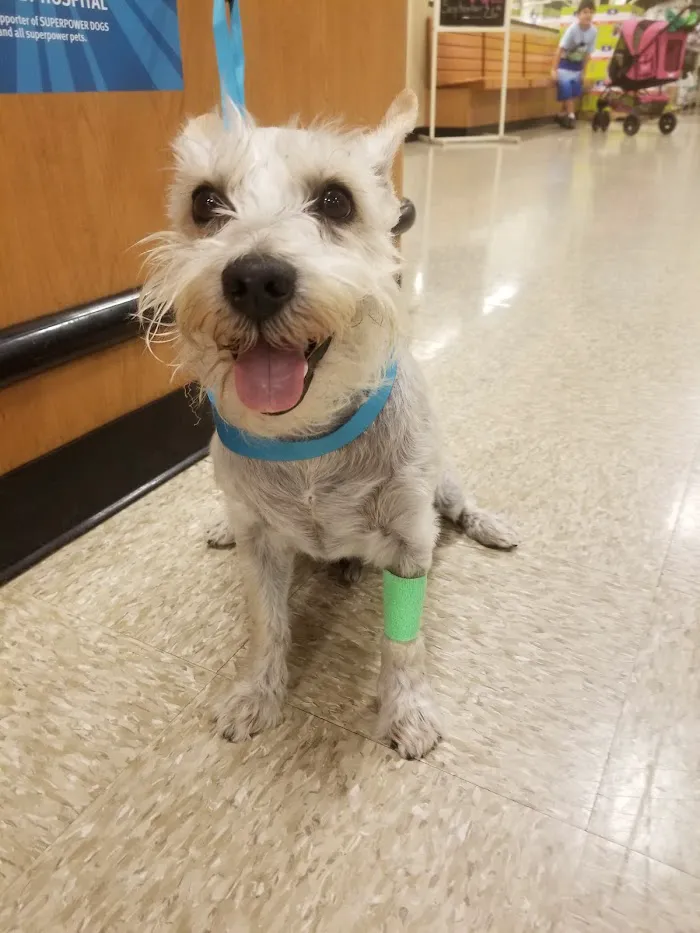 Banfield Pet Hospital 12