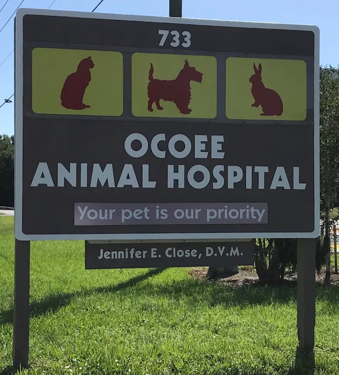 Ocoee Animal Hospital 12