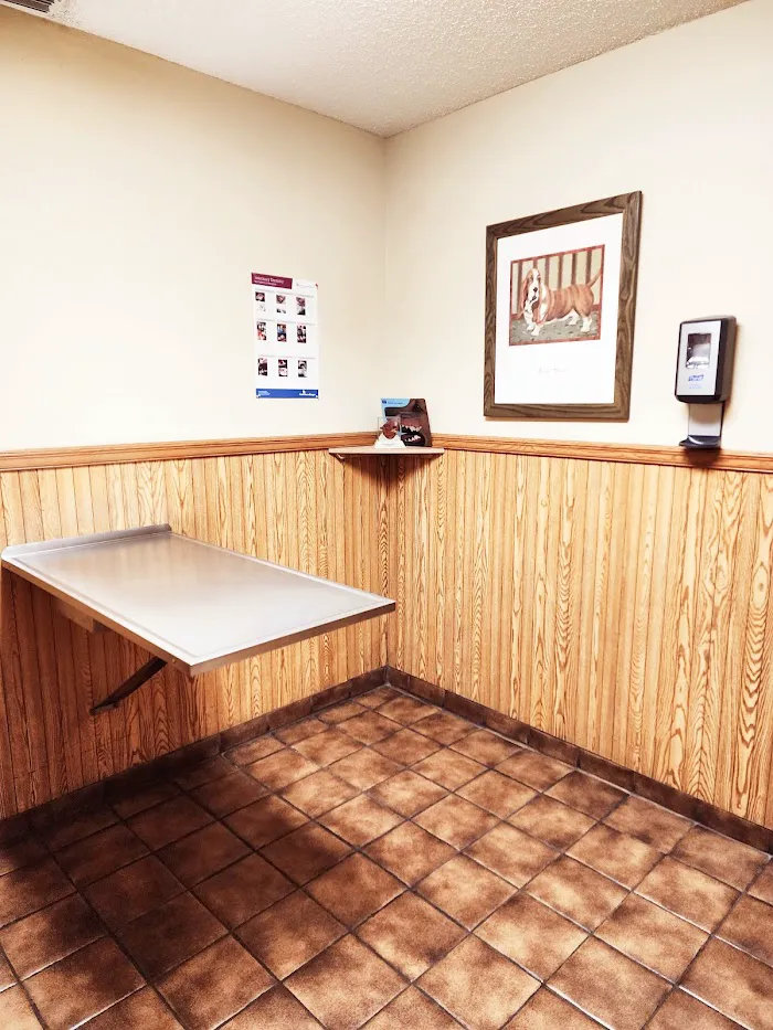 Ocoee Animal Hospital 12