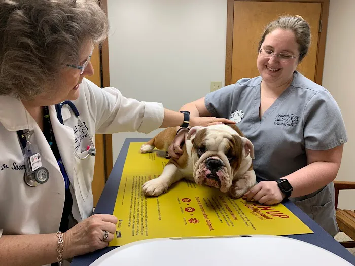 Animal Clinic of Windermere 12