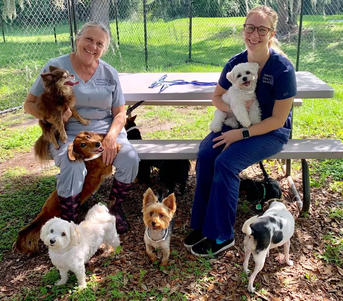 Animal Clinic of Windermere 12