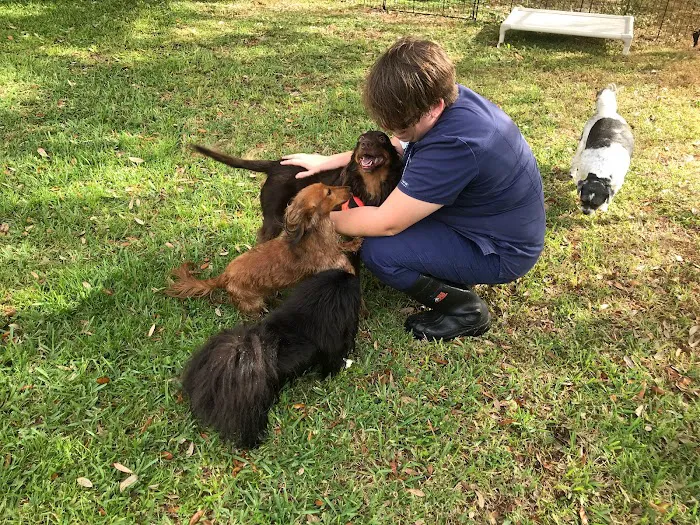 Animal Clinic of Windermere 12
