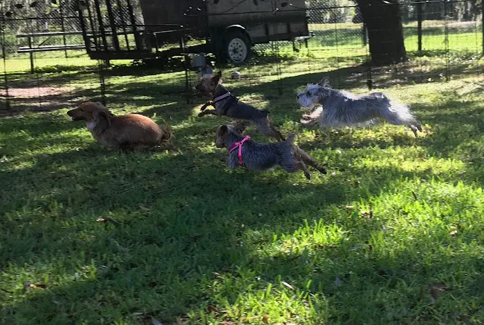 Animal Clinic of Windermere 12