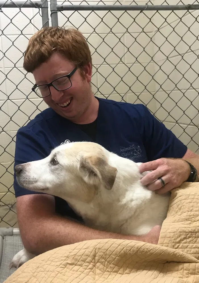 Animal Clinic of Windermere 12