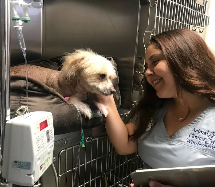 Animal Clinic of Windermere 12