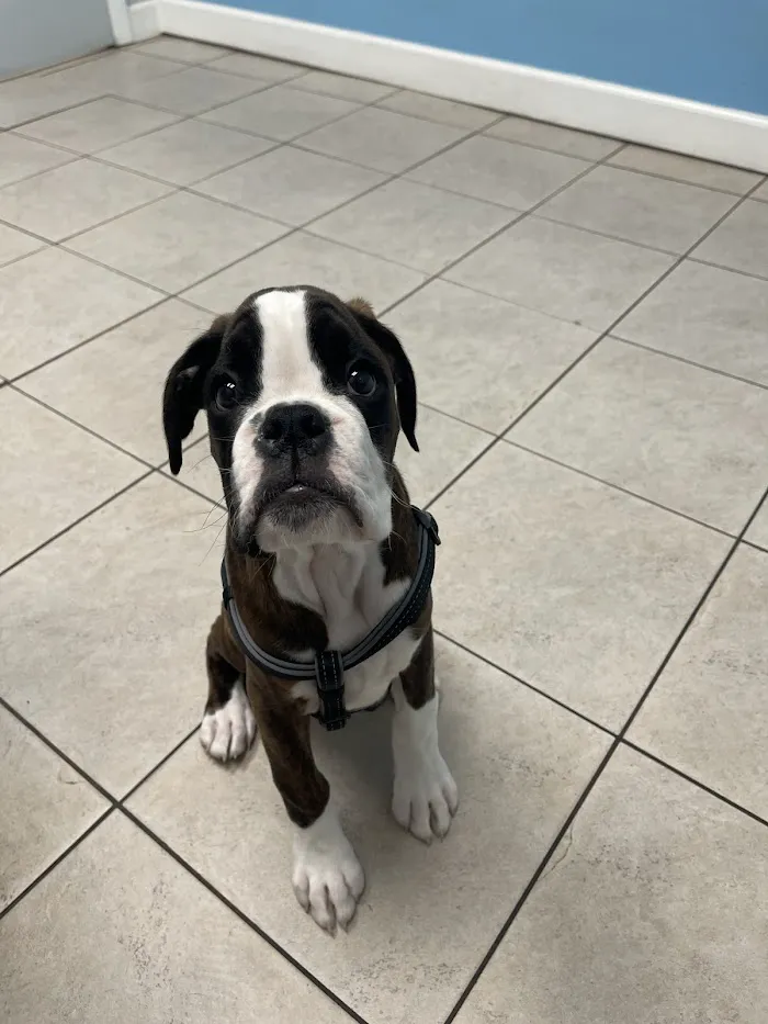 Lake Olympia Veterinary Clinic 10