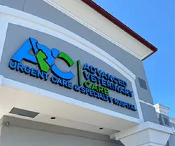 Advanced Veterinary Care