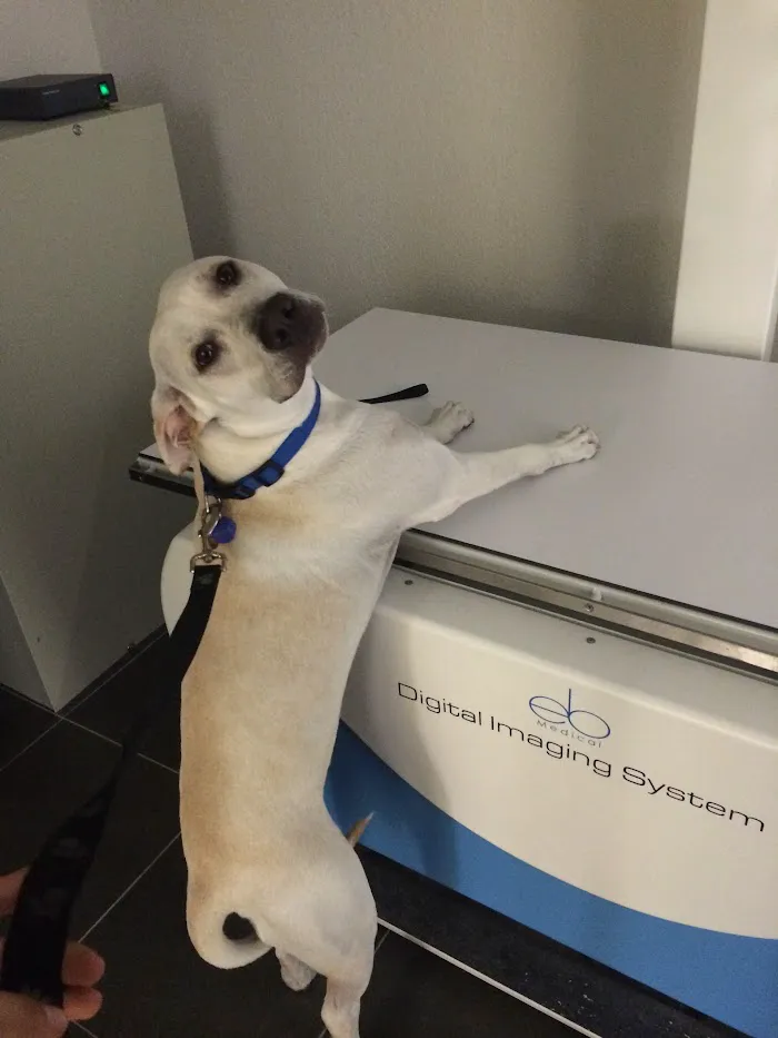 Luv-N-Care Animal Hospital 12