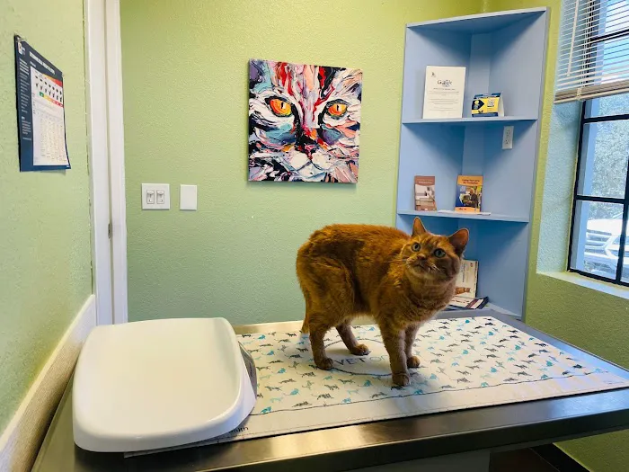 Luv-N-Care Animal Hospital 12