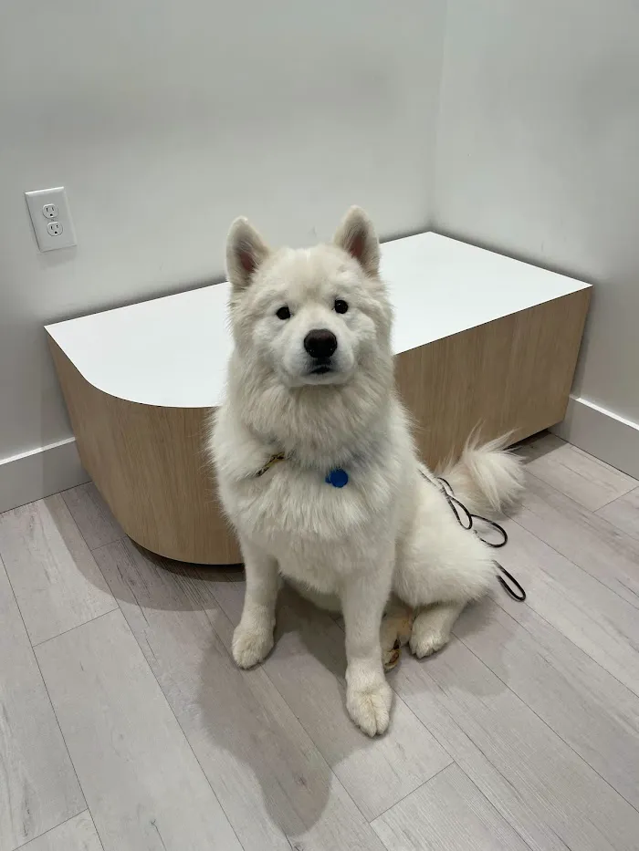 Petfolk Veterinary & Urgent Care - Windermere 12