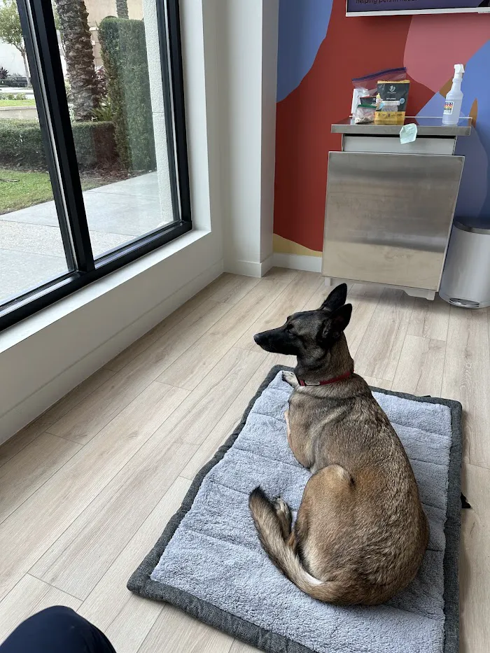 Petfolk Veterinary & Urgent Care - Windermere 12