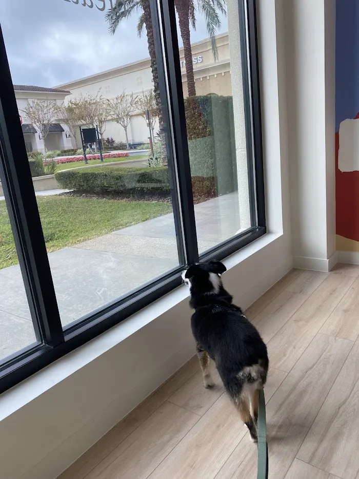 Petfolk Veterinary & Urgent Care - Windermere 12