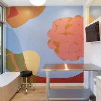 Petfolk Veterinary & Urgent Care - Windermere ico