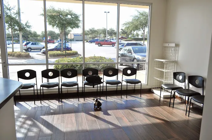 Atlas Pet Clinic 12