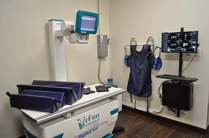Atlas Pet Clinic 12
