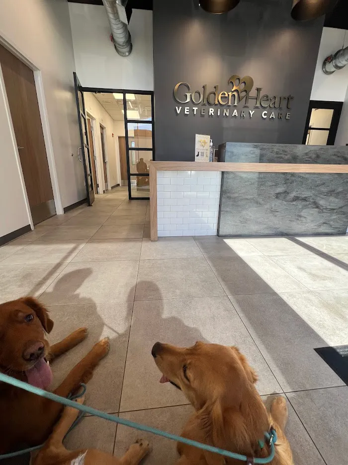 Golden Heart Veterinary Care 12