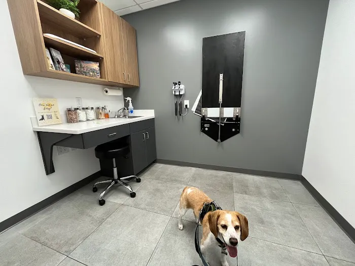 Golden Heart Veterinary Care 12