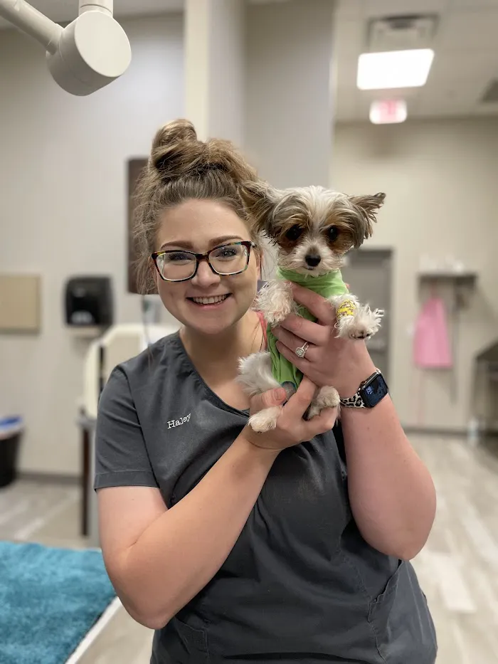 Chain of Lakes Animal Clinic 12