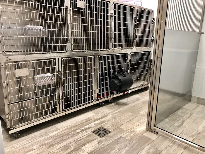 Chain of Lakes Animal Clinic 12