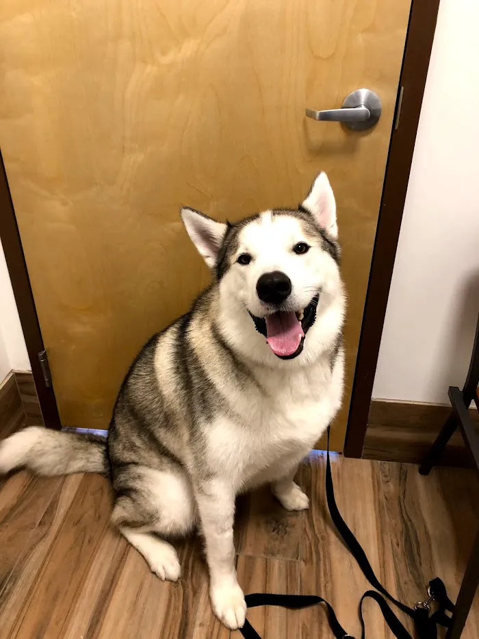 Wintermere Pointe Animal Hospital 12