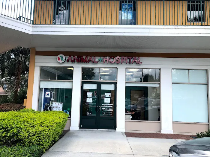 Wintermere Pointe Animal Hospital 12