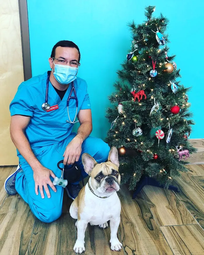 Wintermere Pointe Animal Hospital 12