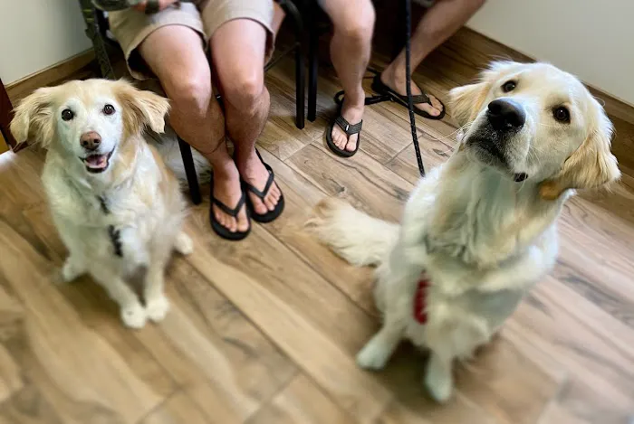 Wintermere Pointe Animal Hospital 12