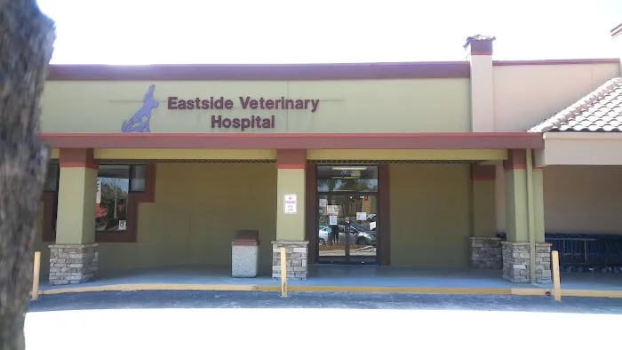 Eastside Veterinary Hospital 12