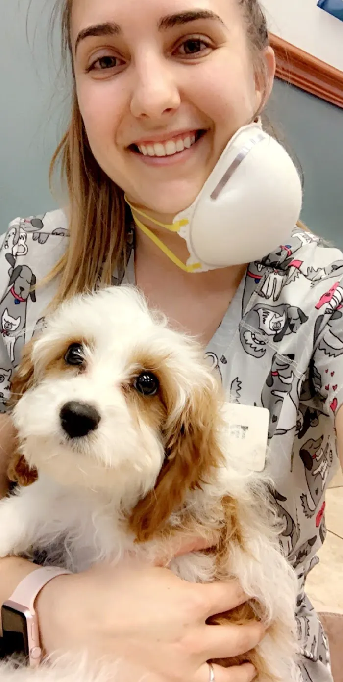 Royal Oaks Veterinary Hospital 12