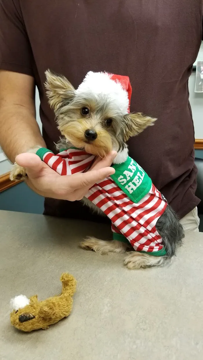 Royal Oaks Veterinary Hospital 12