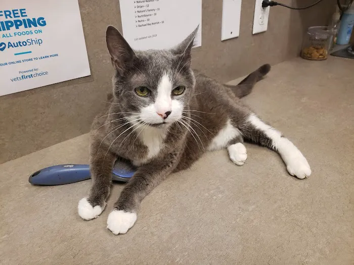 Royal Oaks Veterinary Hospital 12
